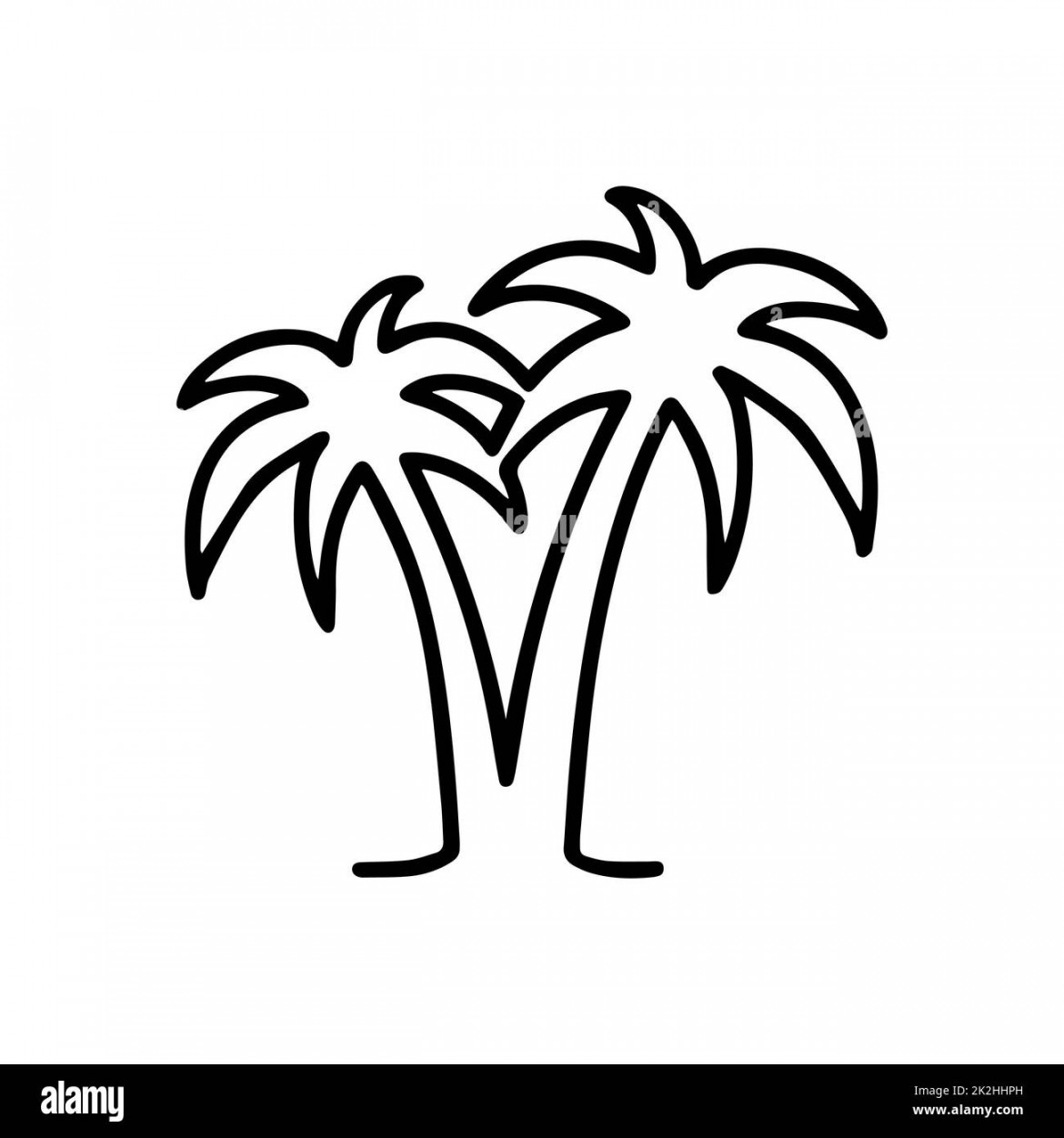 Palm tree line drawing hi-res stock photography and images - Alamy