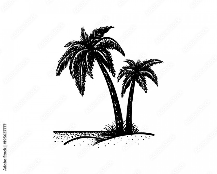 Palm Tree on the Beach Hand Drawing Sign Symbol Logo Vector Stock