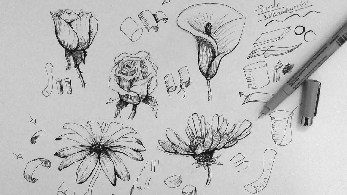 Pen & Ink Drawing Tutorial  How to draw flowers part