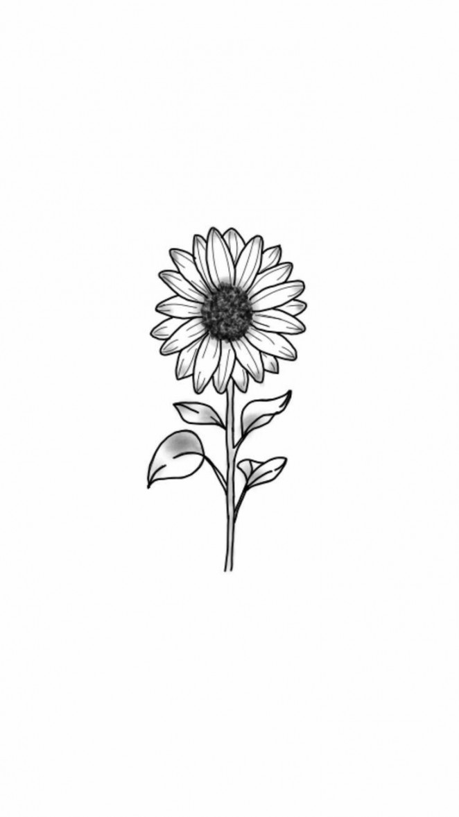 Pin by Juli on Dibujos y arte  Sunflower drawing, Sunflower