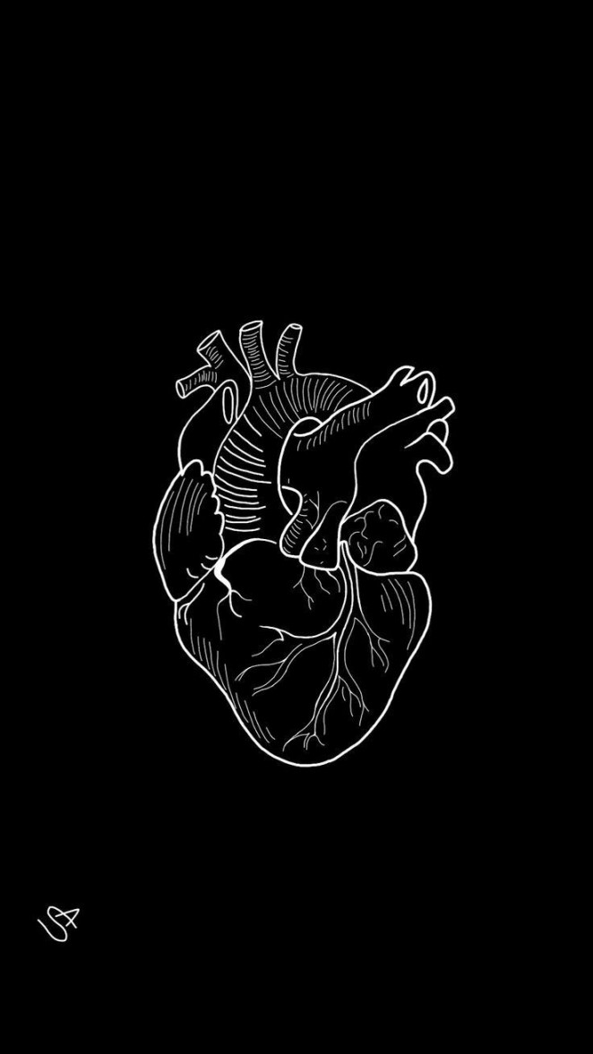Pin by Rosangela on Corazón  Heart drawing, Black and white art