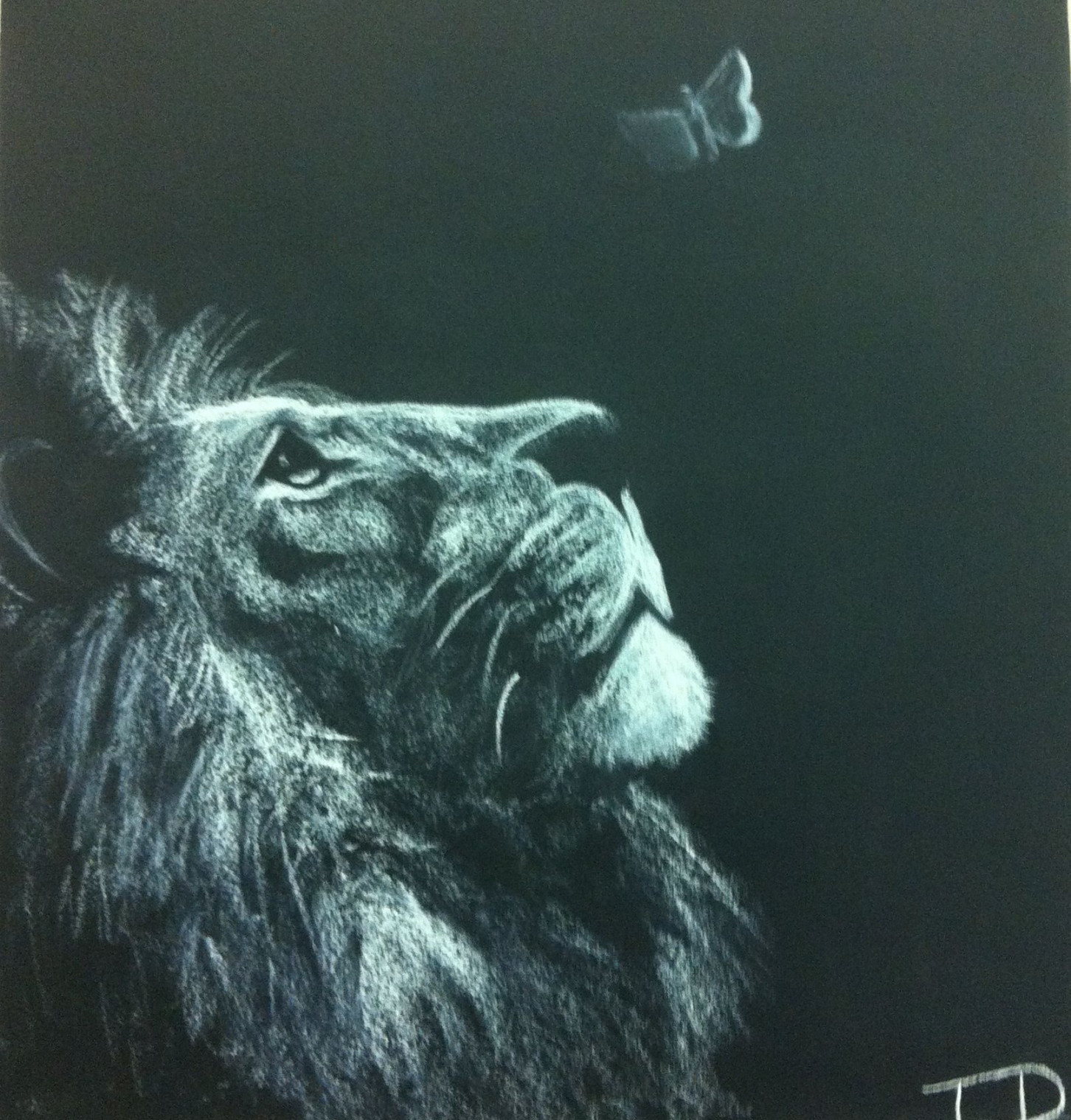 Pin by Taelor Denton on My Art  Lion drawing, Lion painting, Big