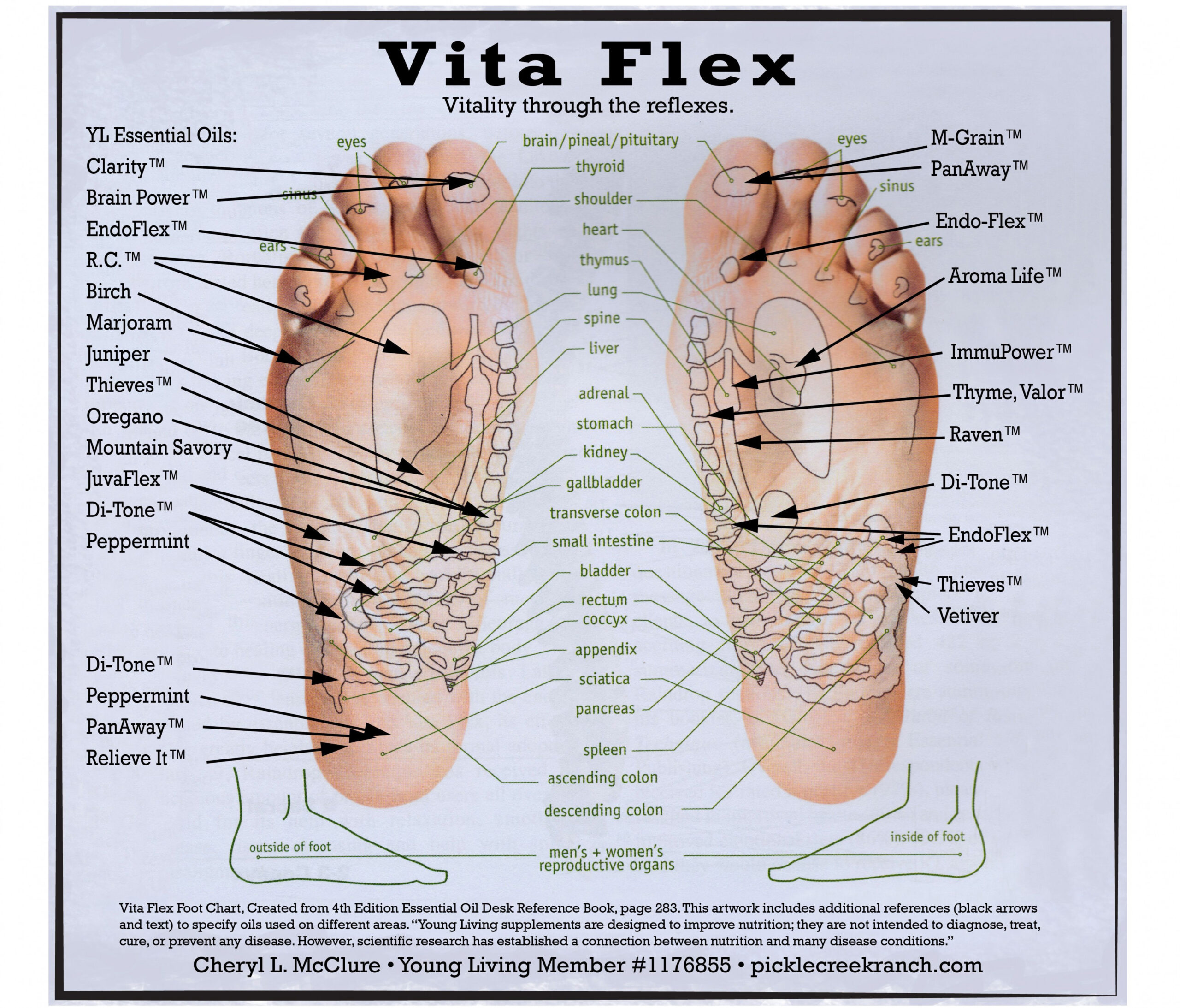 Pin on YL Essential Oils: Vitaflex, Reflexology & Chakra