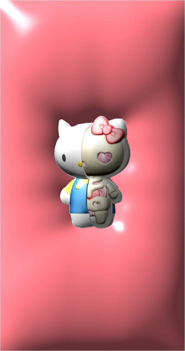 Pink Hello kitty half skeleton wallpaper d in 202  Emo