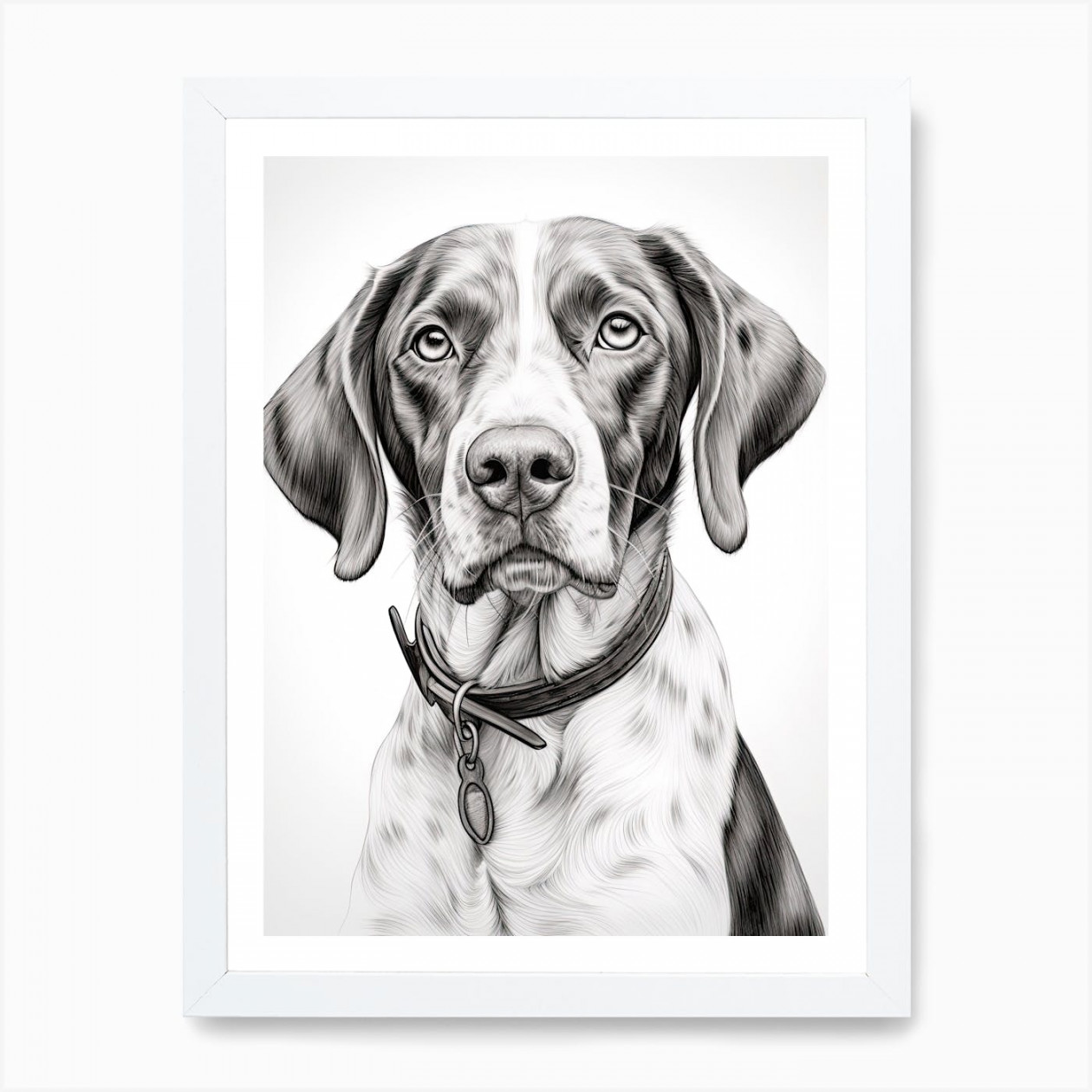 Pointer Dog, Line Drawing  Art Print