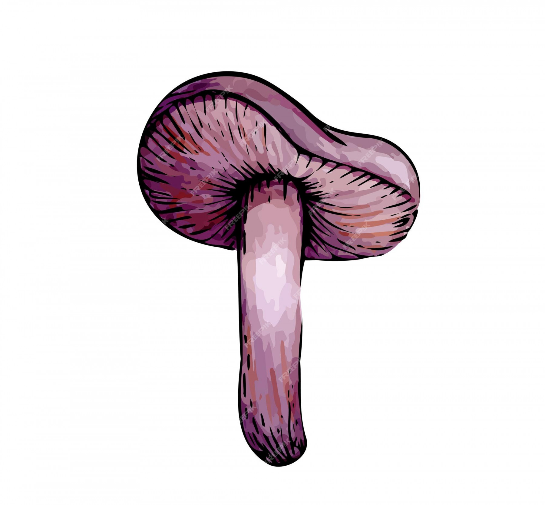 Premium Vector  Big mushroom