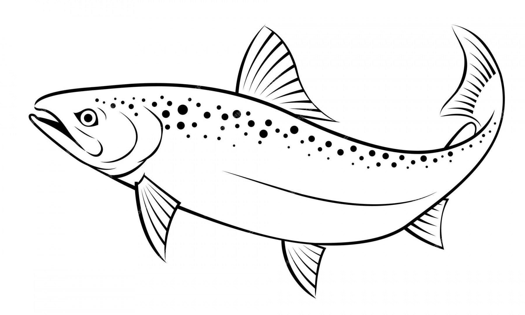 Premium Vector  Black and white drawing of a salmon fish on a