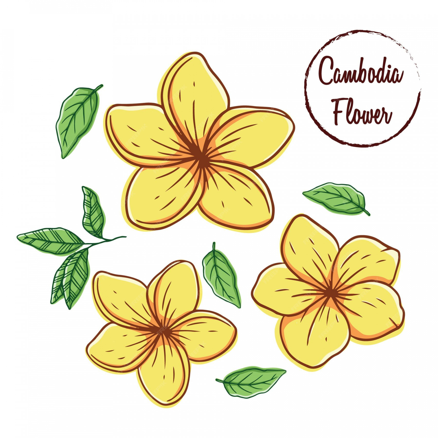 Premium Vector  Colorful cambodia flower with leaves