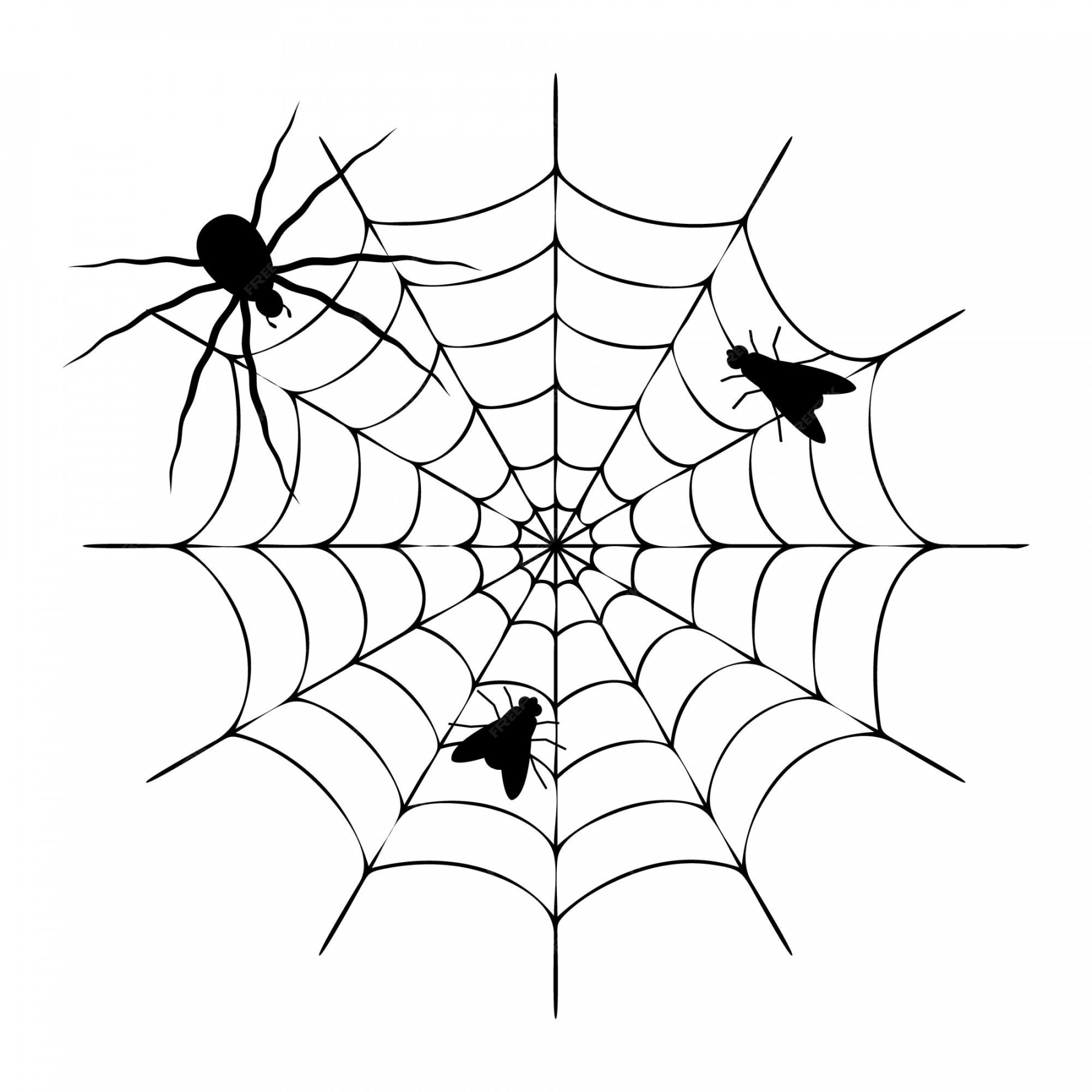 Premium Vector  Flies caught in spiderweb