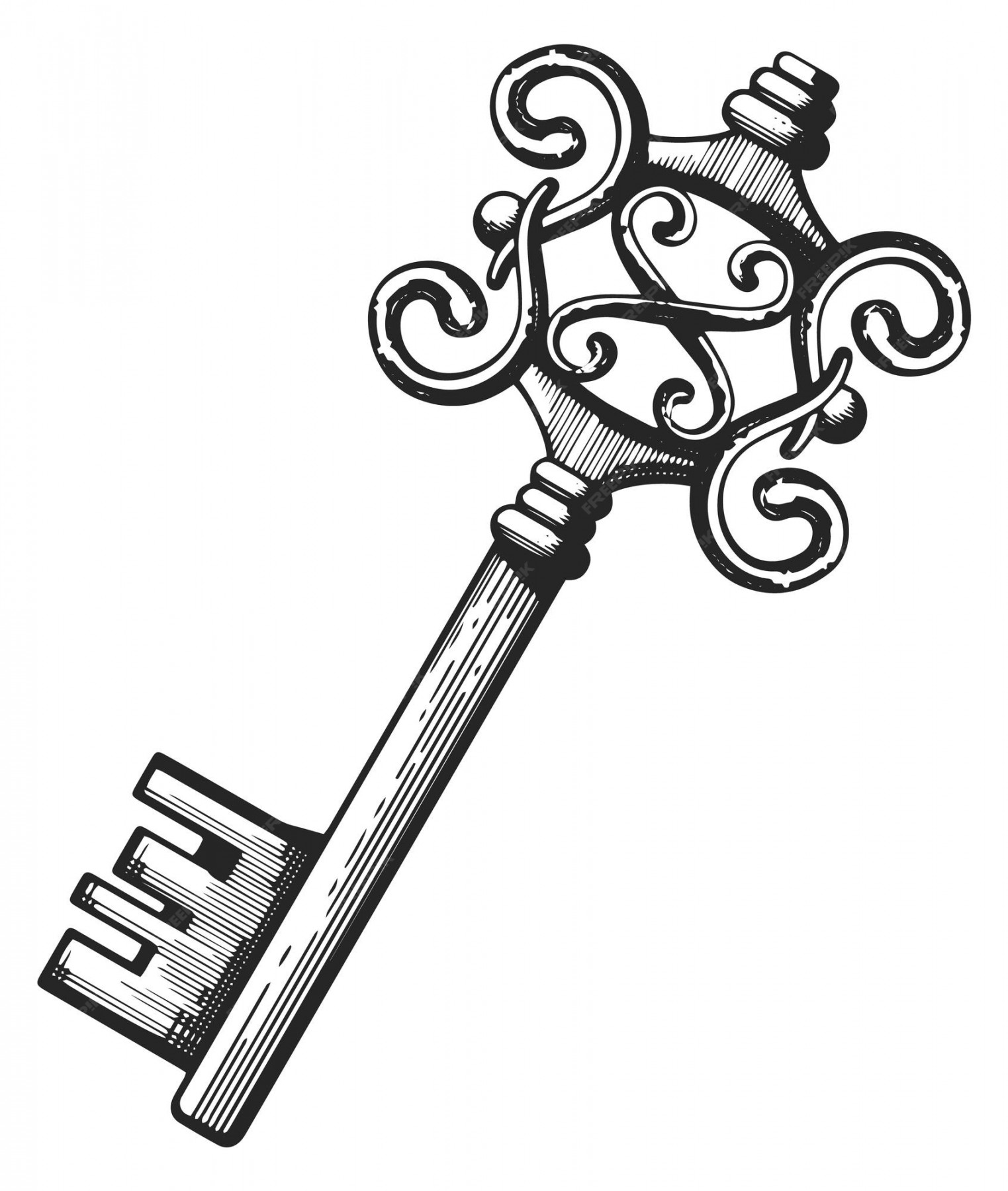 Premium Vector  Skeleton key treasure metal symbol ornate