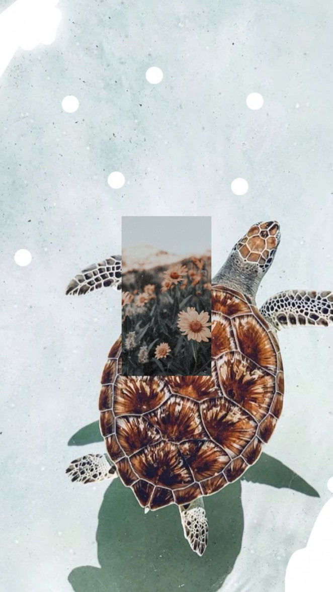 Preppy Turtle in   Turtle wallpaper, Animal wallpaper, Turtle