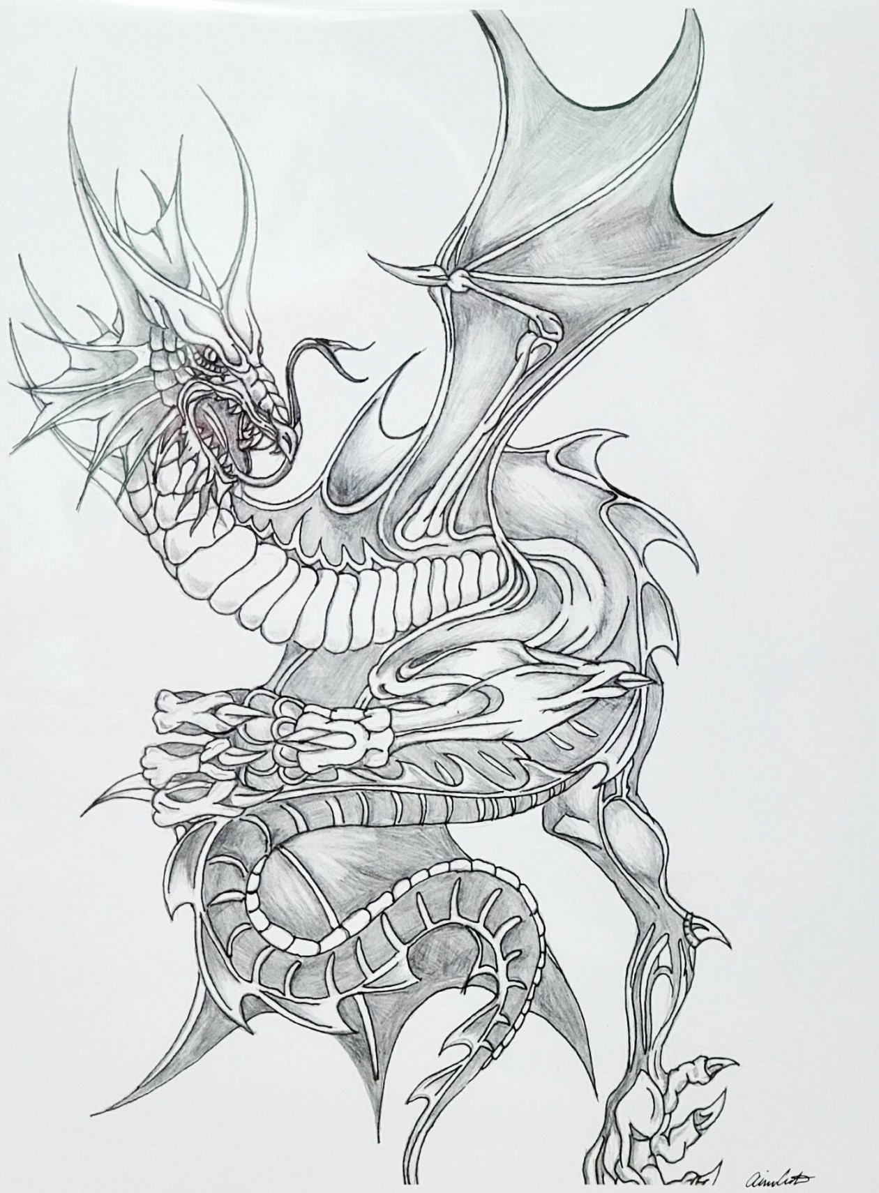 Print Dragon Fantasy Dragon Drawing Dragon Lover Detailed Picture