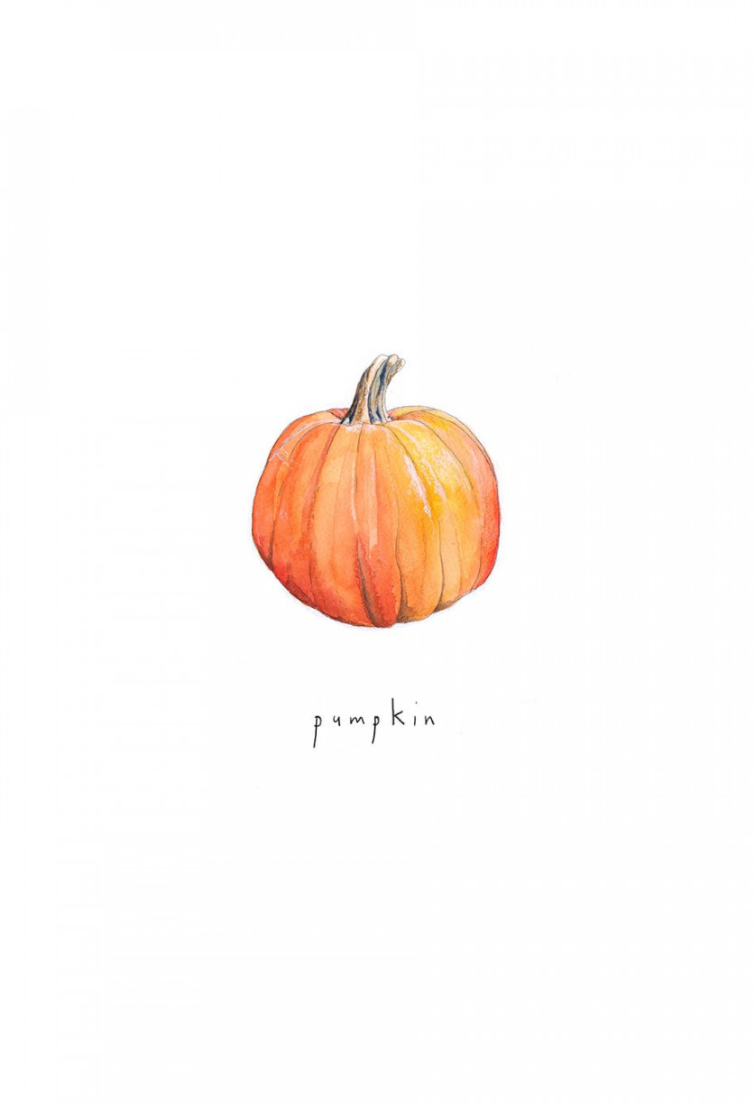 Pumpkin illustration by Aisling Teevan, watercolour and coloured