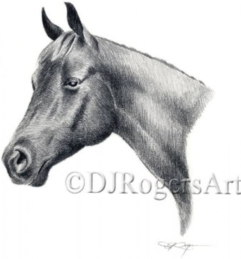 Quarter Horse Pencil Drawing Art Print by Artist DJ Rogers