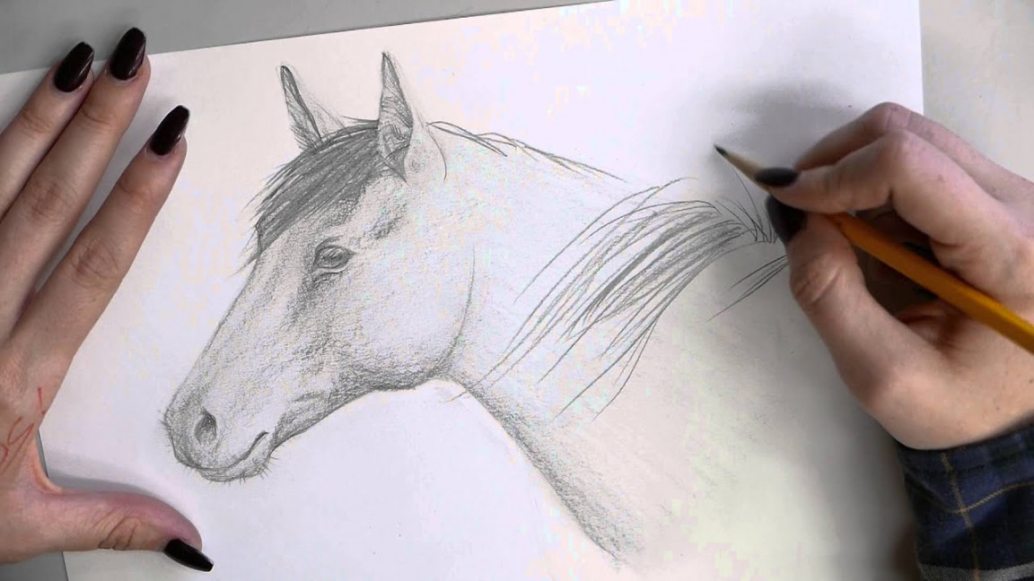 Quick Horse With Long Hair Drawing