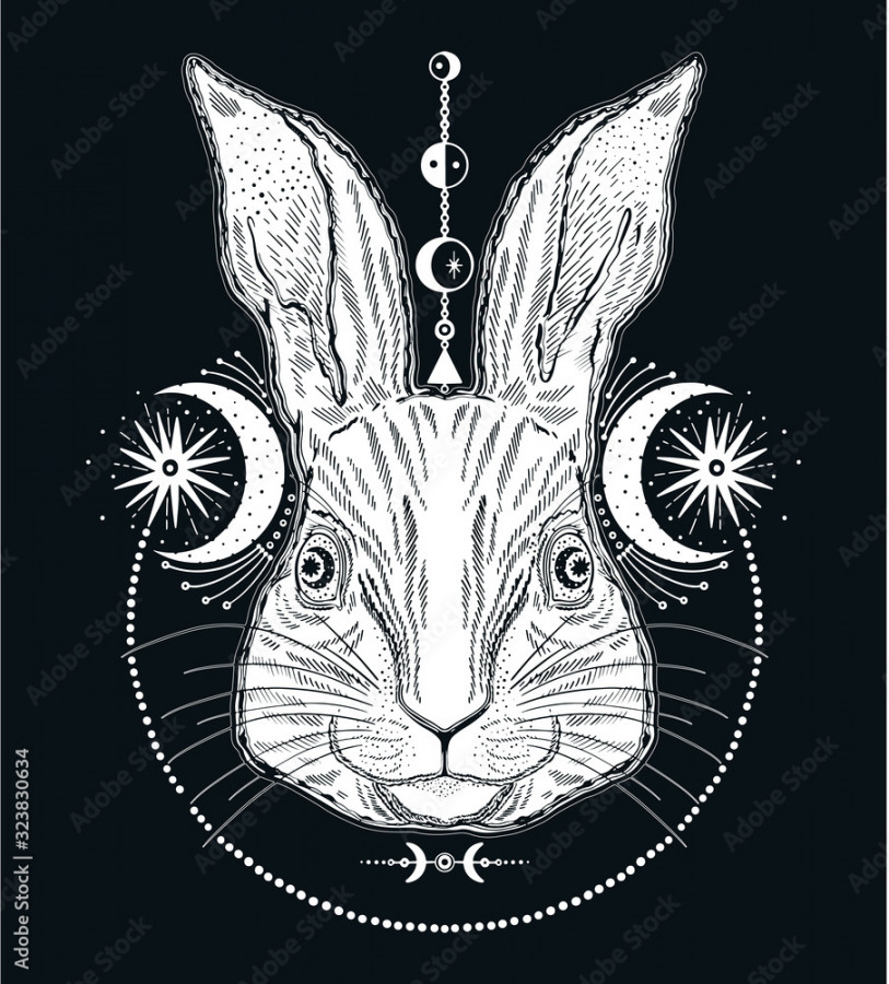 Rabbit animal magic drawing line.Vintage style tattoo