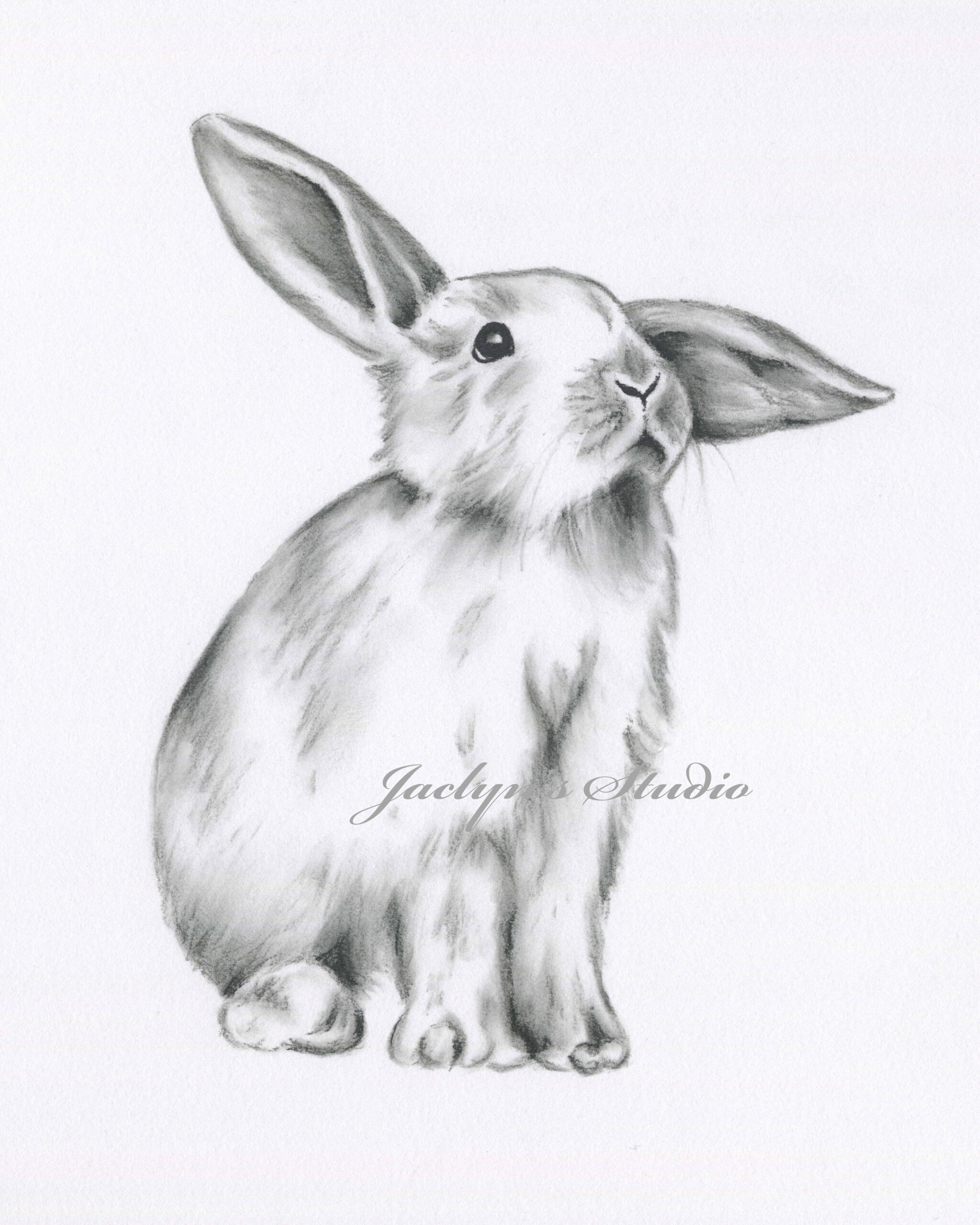 Rabbit Drawing Bunny Drawing Bunny Print Rabbit Print - Etsy Sweden