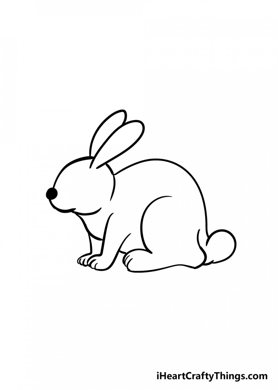 Rabbit Drawing - How To Draw A Rabbit Step By Step