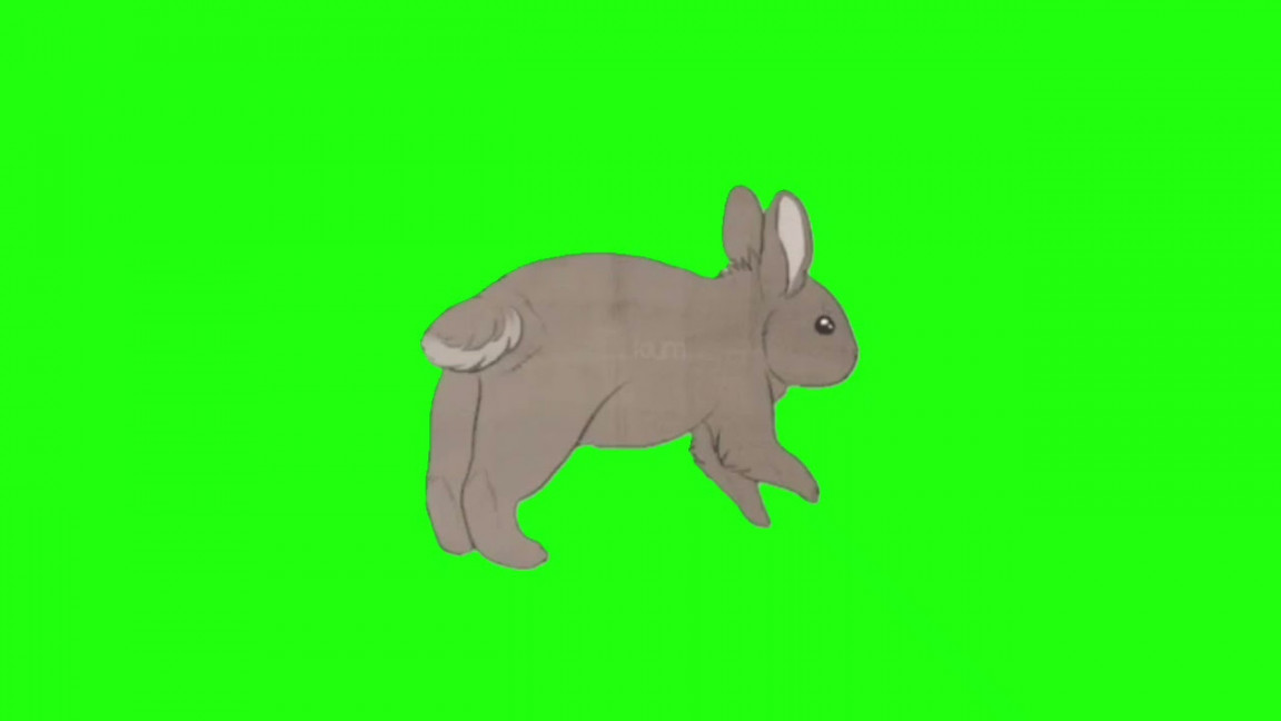 Rabbit green Screen video (free use animation)!! Rabbit run, eat