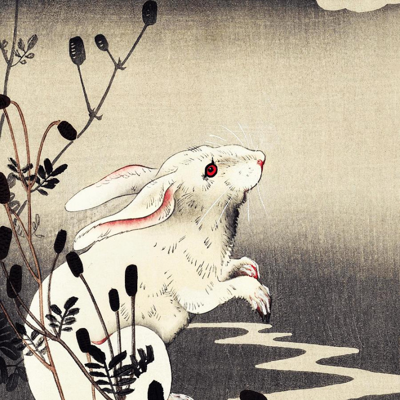 Rabbit Traditional Japanese Wildlife by Cozy Guru