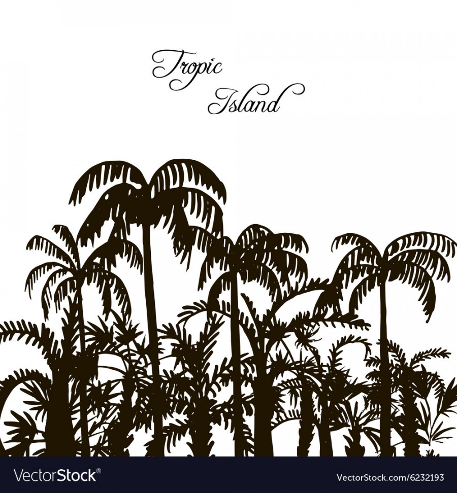 Rain forest palm tree silhouettes Royalty Free Vector Image