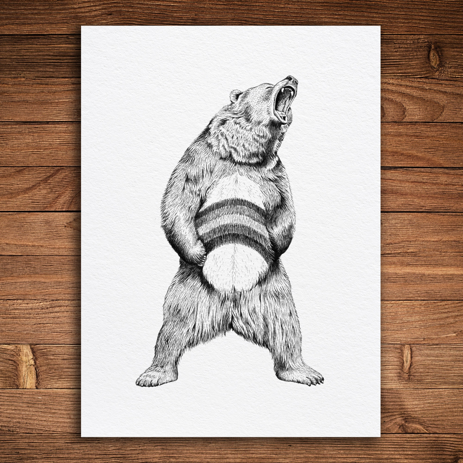 Rainbow Bear Pen and Ink Print Funny Animal and Nature Art - Etsy