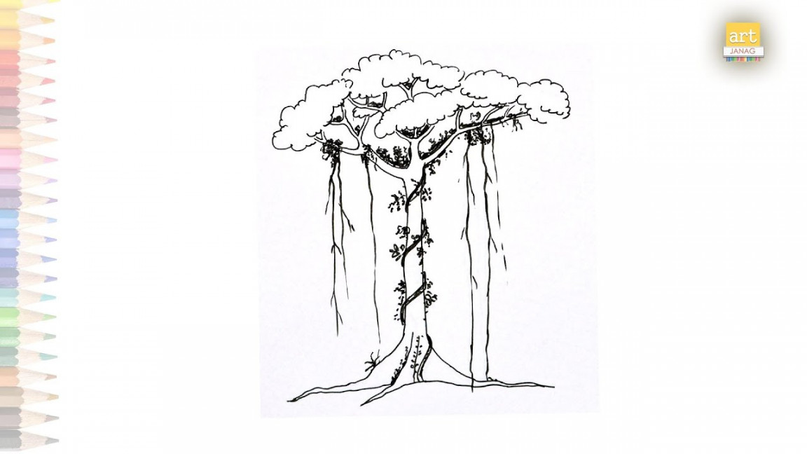 Rainforest tree drawing easy  Dibujar un arbol facil  How to draw  rainforest tree  drawing vigeos