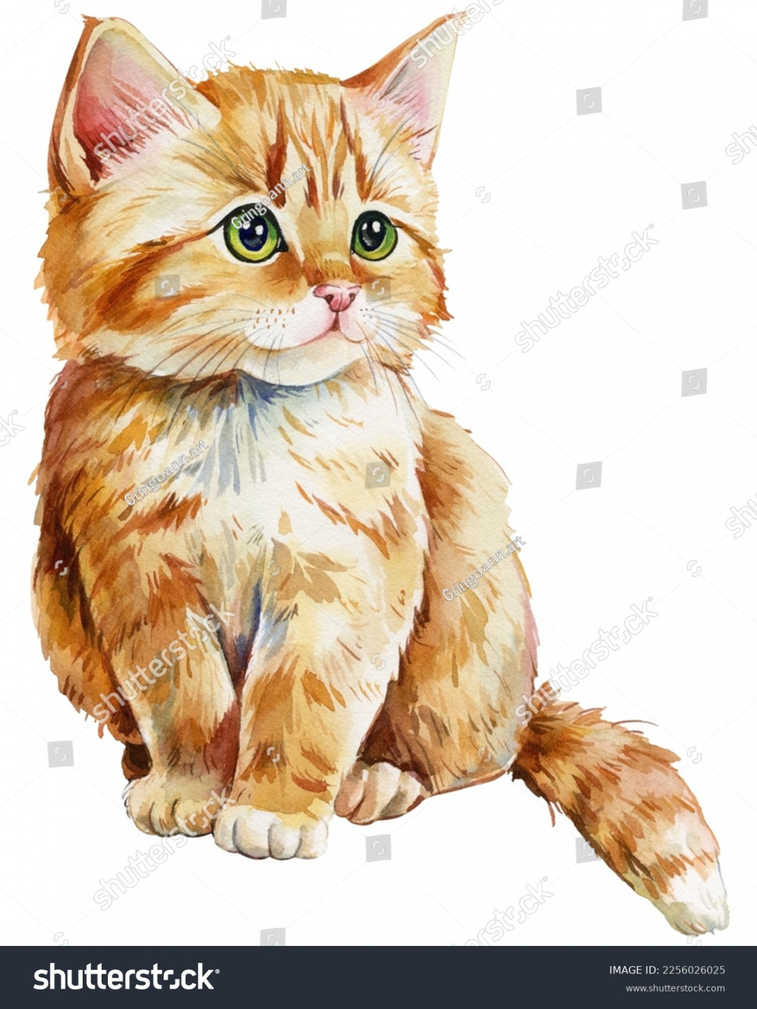 , Red Cat Watercolor Images, Stock Photos, D objects