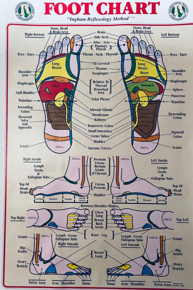 Reflexology  Reflexology, Reflexology chart, Ingham