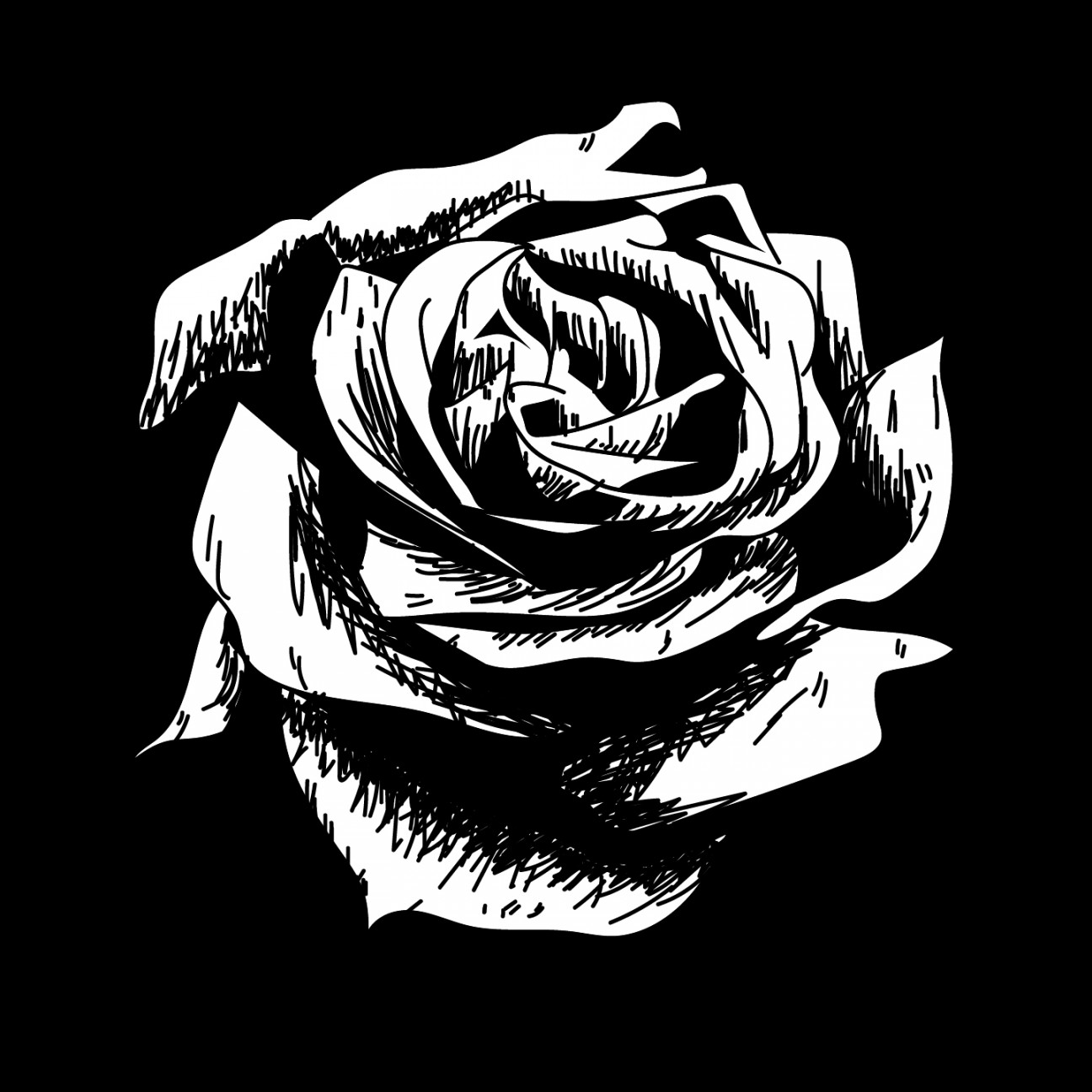 Rose drawing flower nature vector icon on black background