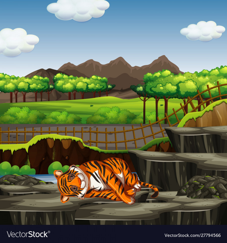 Scene with tiger in zoo Royalty Free Vector Image