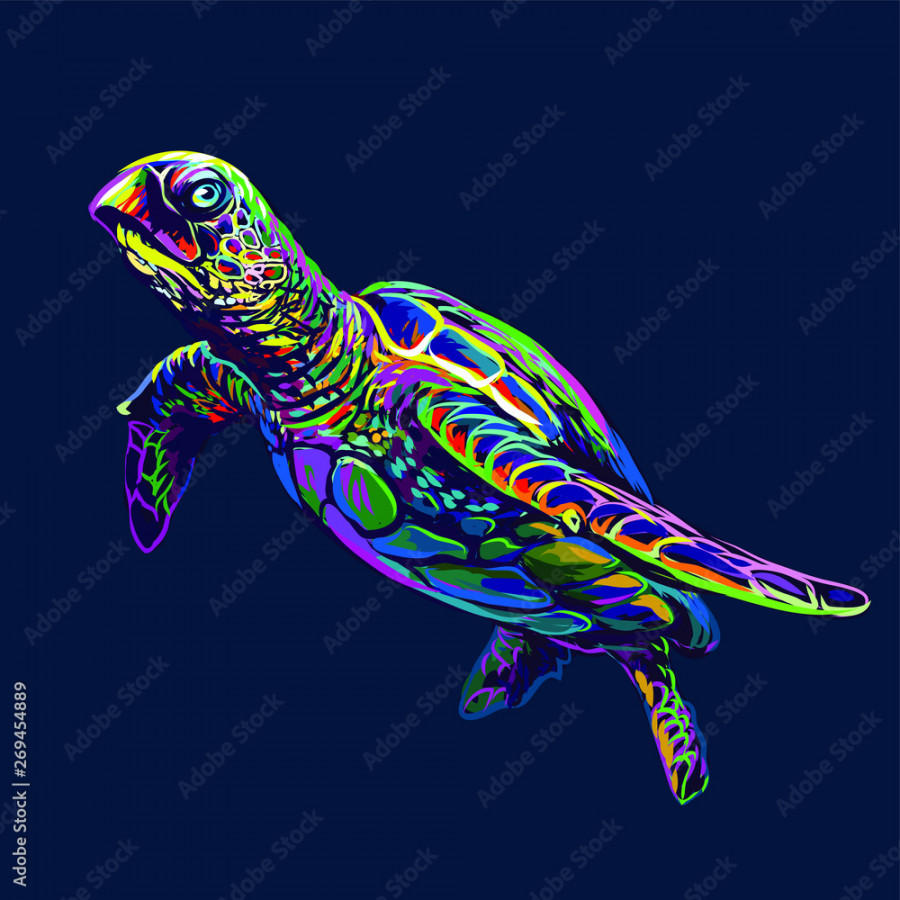 Sea turtle