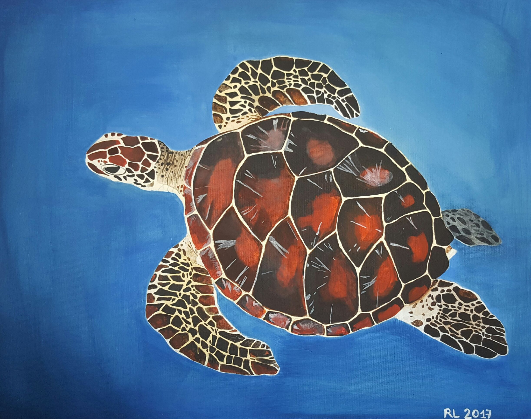 Sea turtle acrylic painting  Mini paintings, Turtle, Sea turtle