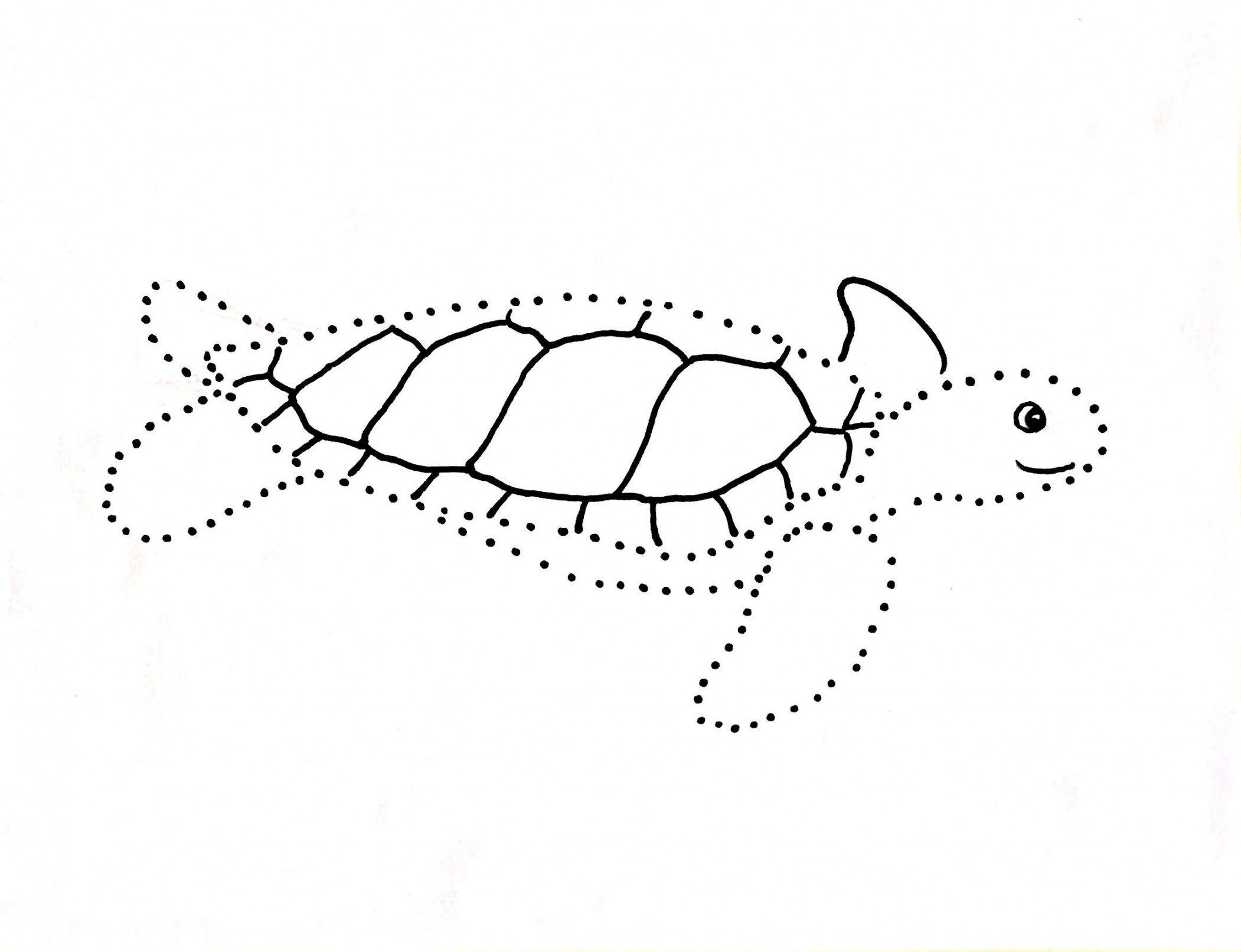 Sea Turtle Dot Drawing - Art Starts