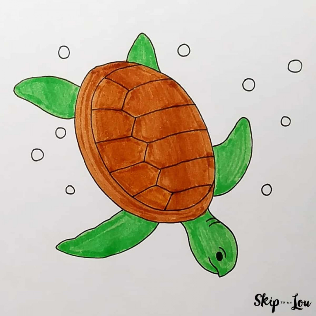 Sea Turtle Drawing  Skip To My Lou