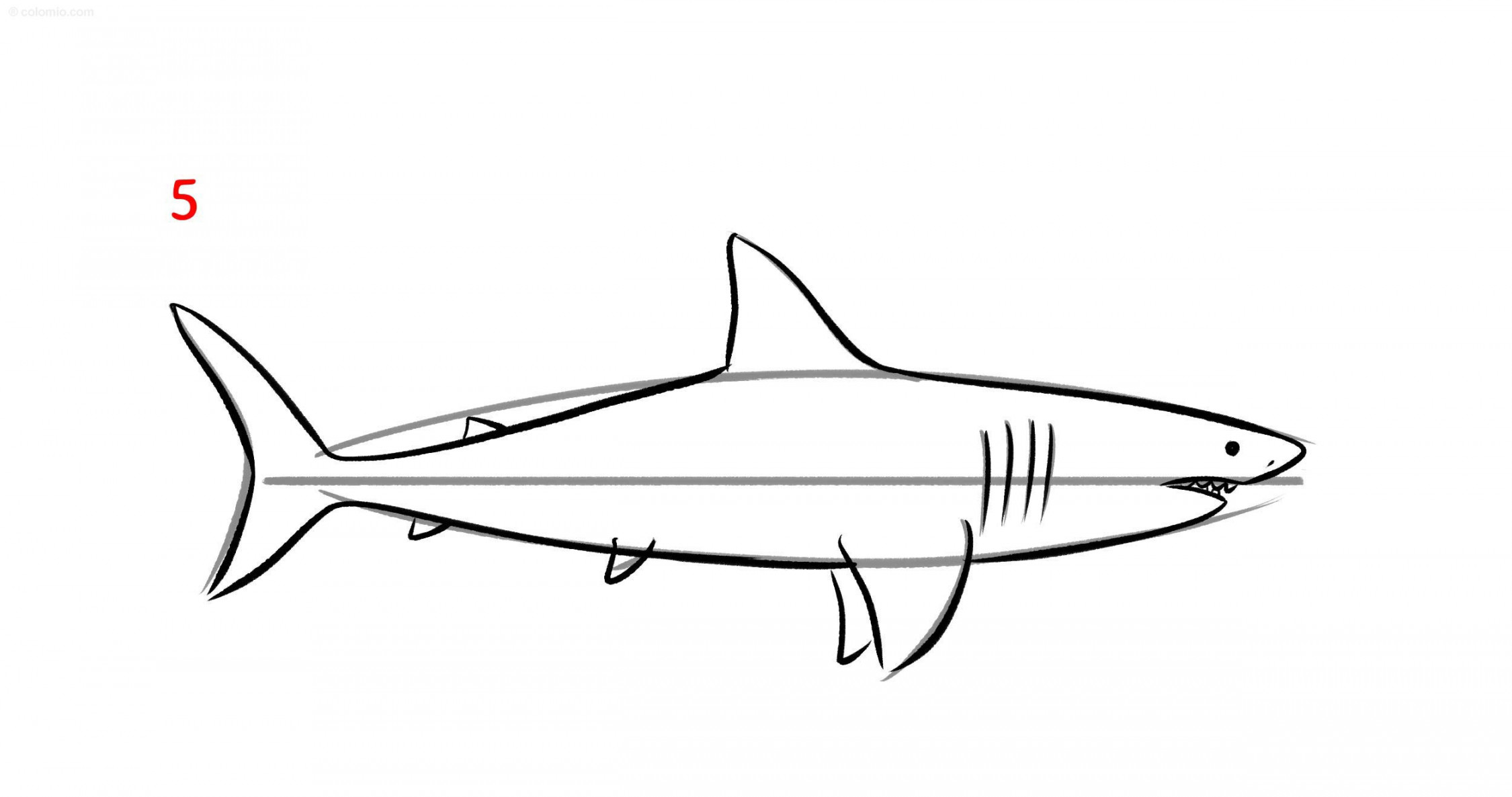 Shark Drawing Ideas ➤ How to draw a Shark Step by Step