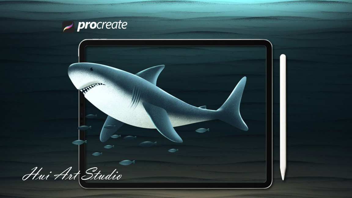 Shark  Procreate Art  HUI Art Studio