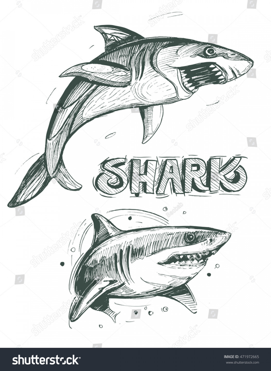 Shark Sketch Vector Illustration Stock Vector (Royalty Free