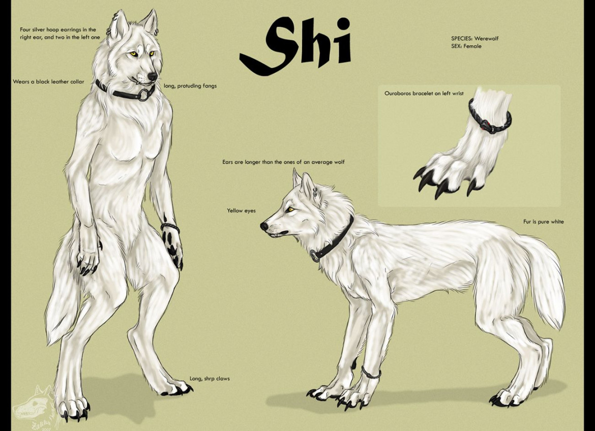 Shiwolf-refsheet  Canine art, Fantasy creatures mythology, Werewolf