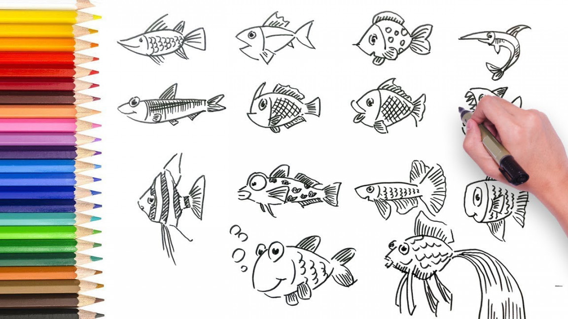 Simple Fish Drawing Ideas