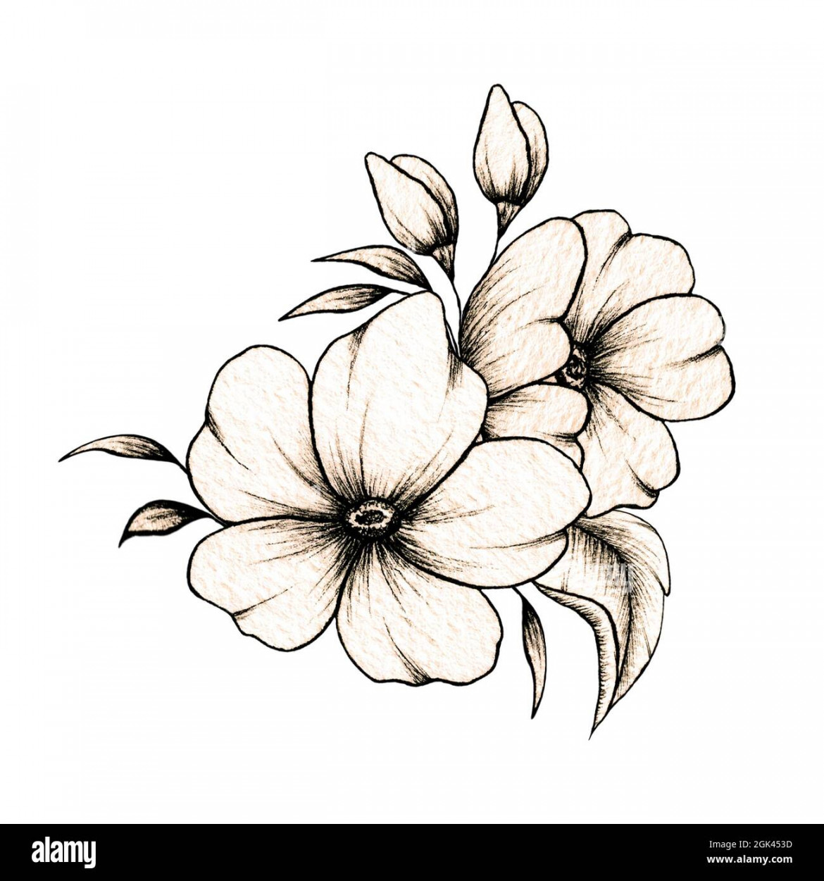 Simple line drawing floral composition with various big and small