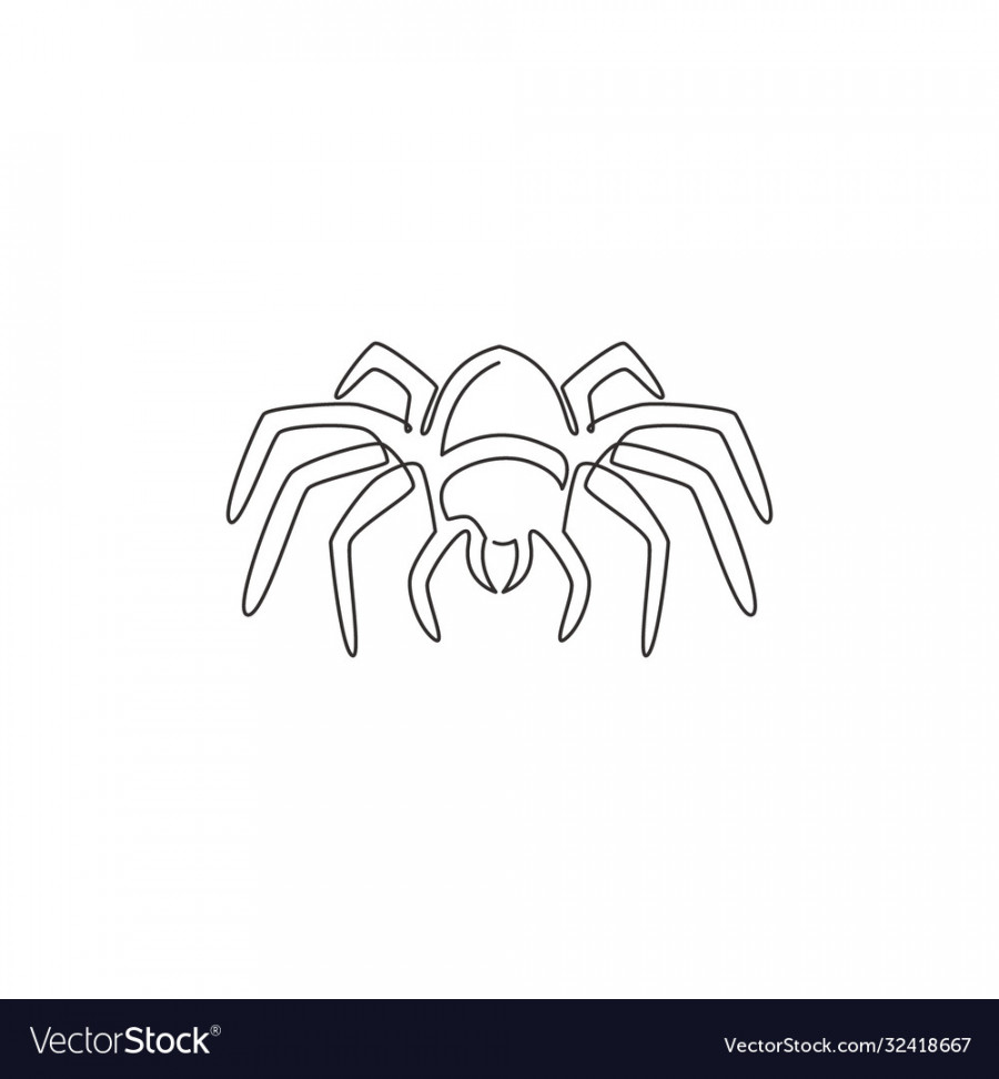 Single continuous line drawing big wild spider Vector Image