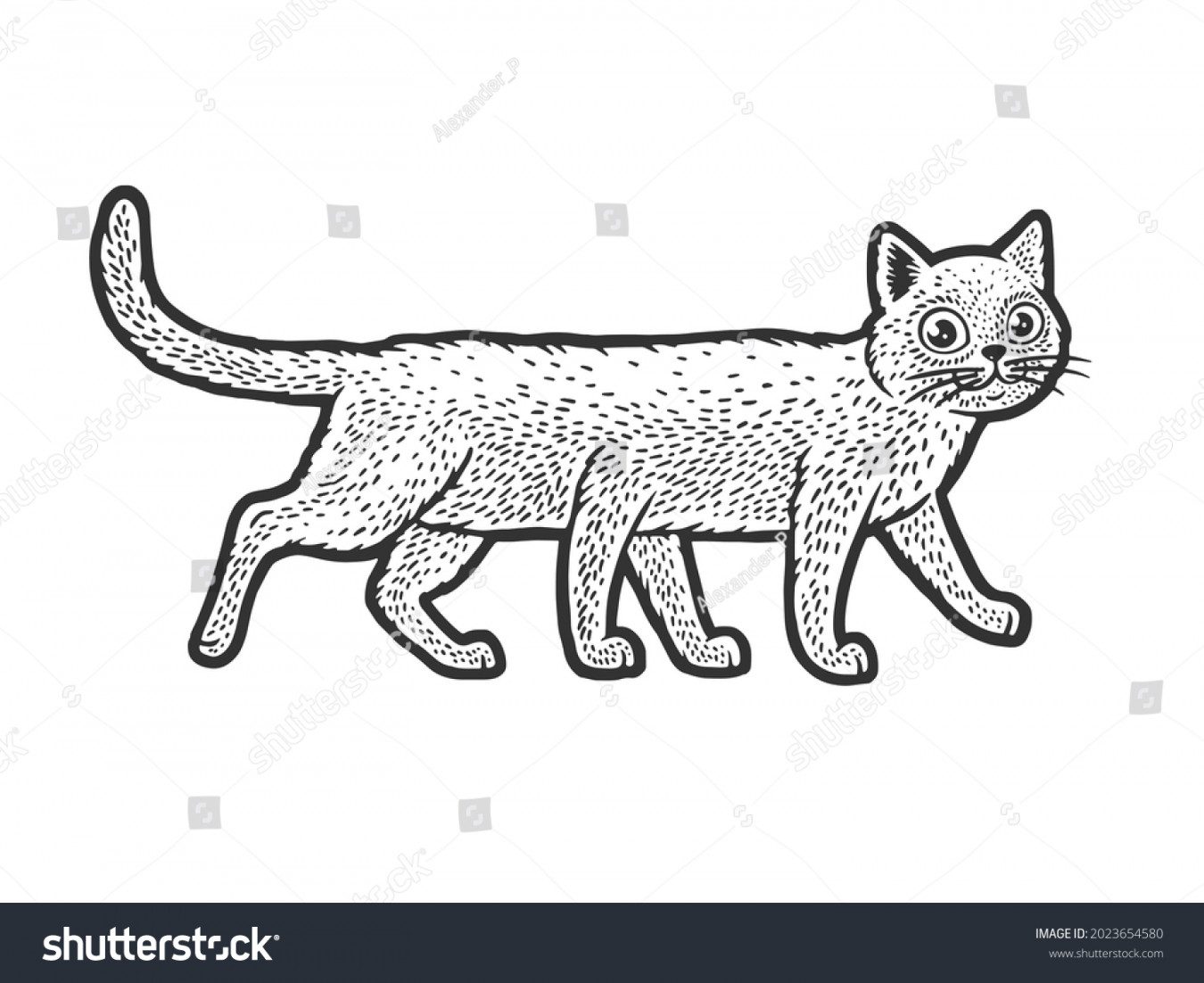 Six Legged Cat Sketch Engraving Vector Stock Vector (Royalty Free