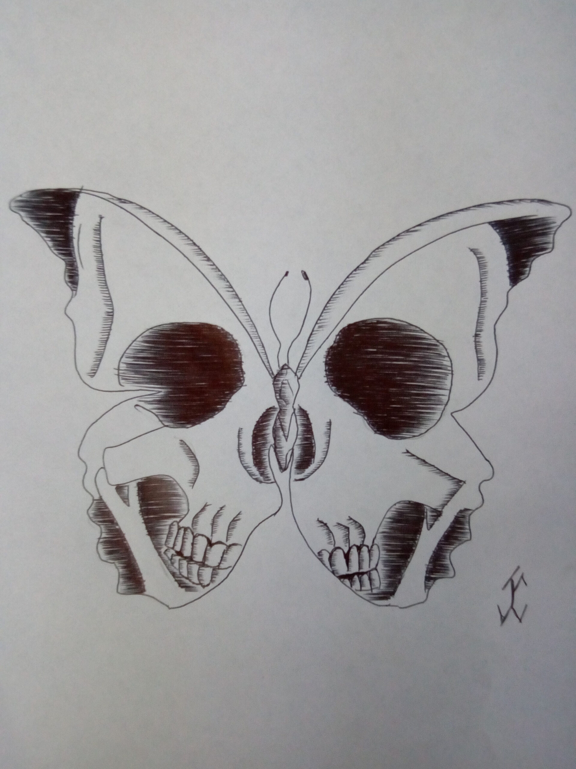 Skull Butterfly  Skull art drawing, Sunflower drawing, Butterfly