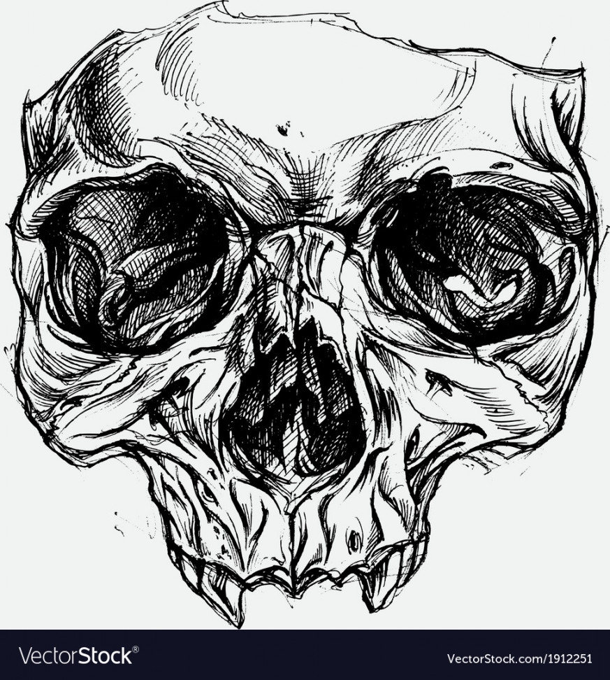 Skull drawing Royalty Free Vector Image - VectorStock