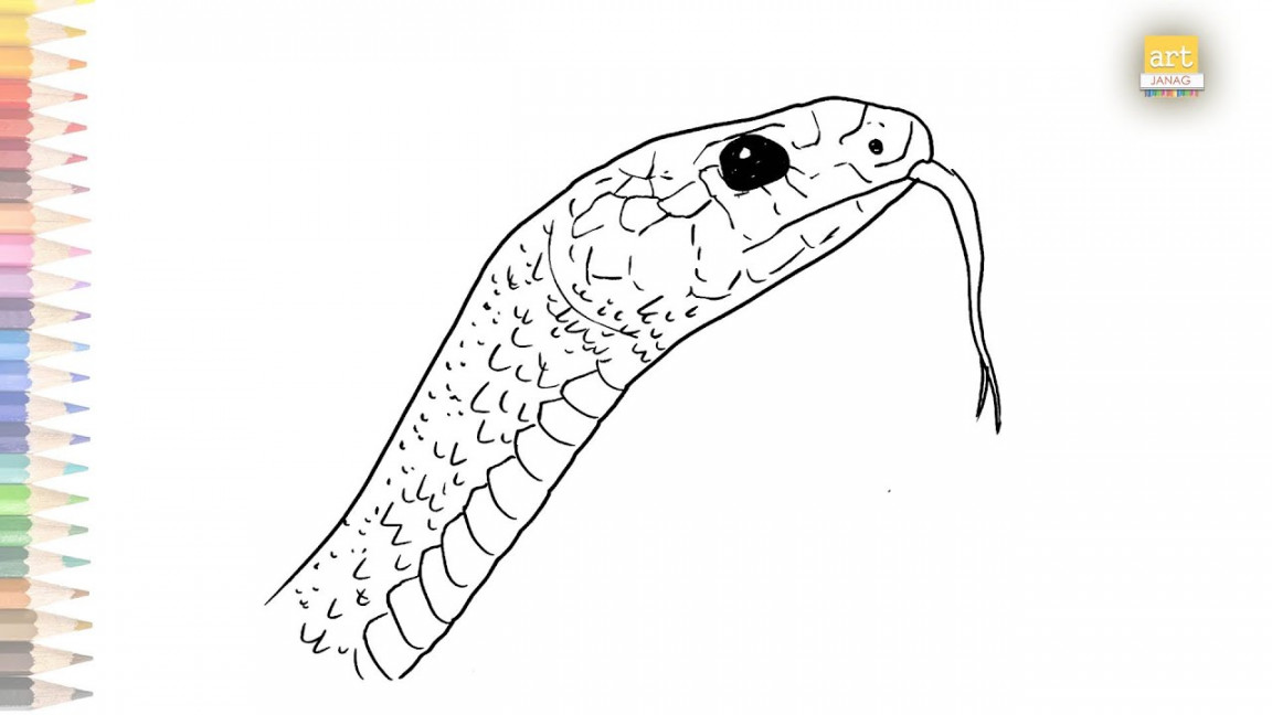 Snake face drawing very easy  How to draw A Snake head drawing step by step