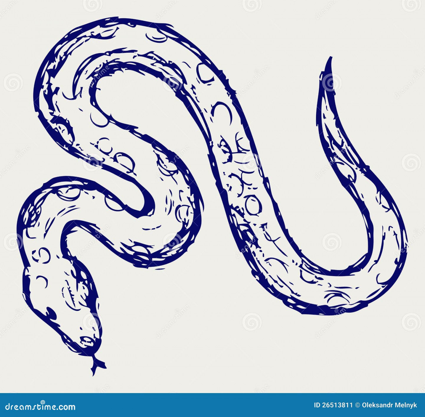 Snake Sketch Stock Illustrations – , Snake Sketch Stock