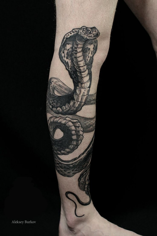 Snake tattoo. Sketch style