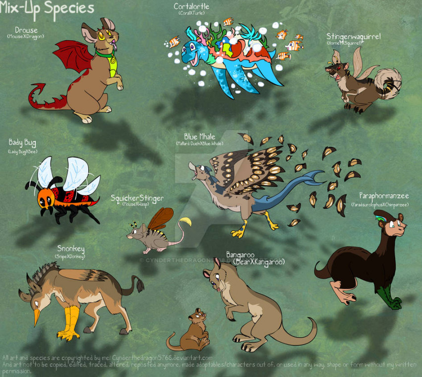 Species Mix up # by Cynderthedragon on DeviantArt