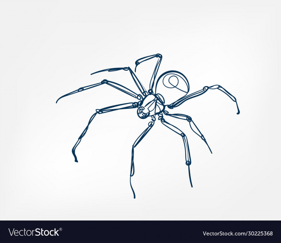 Spider art line isolated doodle Royalty Free Vector Image